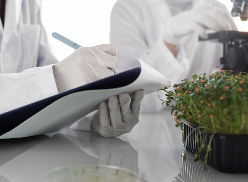 Select-Organic-Certification-in-Fragrance-Manufacturing