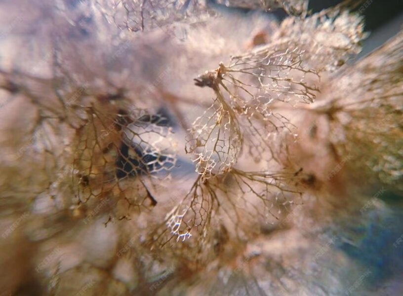 Sustainability-in-Modern-Perfumery